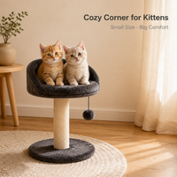 Tour d'escalade pour chat moderne à 2 niveaux de 47 cm, avec perchoir en peluche, poteau à gratter en sisal, jouet suspendu et base, vente en gros directe usine Chine, personnalisable
