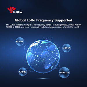 OEM LoRaWAN Wireless IoT LoRa Temp <strong>Monitoring</strong> <strong>Device</strong> Industry Smart Environmental Temperature and <strong>Humidity</strong> Sensor Data Logger - Product Image 4