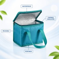 Sac isotherme personnalisé avec logo, non tissé, doublure en aluminium, réutilisable, pour pique-nique, stockage à froid, 56-76L, résistant à l'eau, écologique