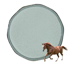 Lợn premix thức ăn phụ gia lợn thức ăn thức ăn axit hóa cho nhà máy thức ăn chăn nuôi - Product Image 6