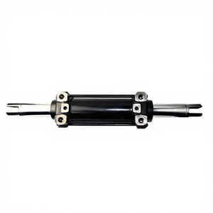 Cilindro de Dirección Asistida de Repuesto para FD25/30-16 - Product Image 1