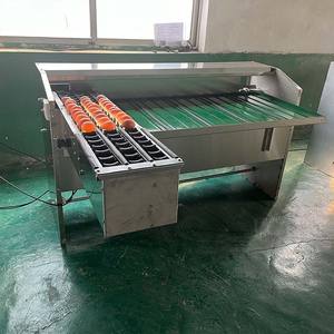 Máquina de procesamiento de clasificador de huevos de pollo duradero Máquina de clasificación de peso de huevos con buena calidad - Product Image 1