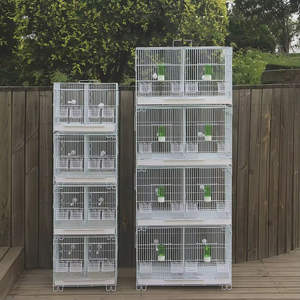 Vente en gros de cages à oiseaux de luxe de haute qualité, grande cage à oiseaux durable pour une utilisation en intérieur et en extérieur - Product Image 4