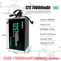 Qiqi 74000mAh 67000mAh 6S/23.7V 12S/47.4V 14S/55.3V 18S/71.1V 24S/94.8V Drone batterie au lithium-ion à semi-conducteurs