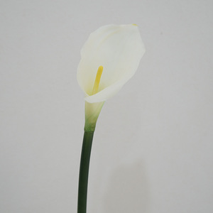 ดอกคาลล่าลิลลี่คุณภาพสูง <span class=keywords><strong>ดอกไม้</strong></span>ประดิษฐ์สัมผัสนุ่มเหมือนจริง ผลิตจาก PVC ด้วยเทคนิคการเพิ่มความชุ่มชื้น เหมาะสำหรับตกแต่งงานแต่งงานและบ้าน ขายส่ง - Product Image 2