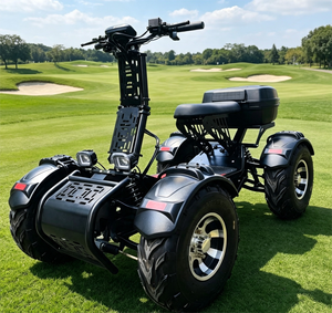 21 <strong>Inch</strong> off Road 10000W 4WD <strong>Electric</strong> <strong>Quad</strong> ATV with Shaft Drive - Product Image 1