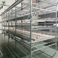 Équipement agricole pour poulets de chair volaille Plancher coulissant en acier galvanisé Système de récolte automatique Chaudière H Cage à poulets pour le Nigeria