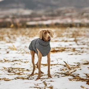 Modern Vintage Large Dog Inverno Casaco Confortável Poliéster Pet Manto Quente para Tempo Frio Elegante Pet Roupas - Product Image 2