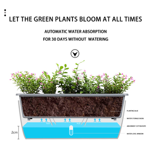 Grand pot auto-arrosant étroit en plastique avec fenêtre de visualisation du niveau d'eau <span class=keywords><strong>pour</strong></span> la culture de légumes et de plantes sur <span class=keywords><strong>balcon</strong></span> domestique - Product Image 4