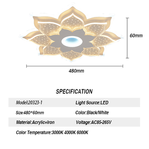 Hiện Đại Bắc Âu dẫn ánh sáng Trần ưa thích đơn giản Acrylic Thiết kế cho phòng ngủ trong nhà phòng khách điều khiển từ xa mờ tối giản - Product Image 2