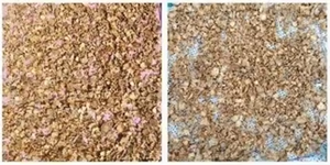 Rodajas/Escamas de Cúrcuma Negra Seca a Precios Bajos, Hechas Naturalmente con Múltiples Usos - Product Image 3