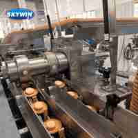 Machine automatique Skywin à deux voies pour biscuits fourrés à la crème, haute productivité, pour noix et lait, nouvelle machine d'emballage flow-pack
