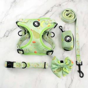 Coowone özel yüksek kaliteli köpekler koşum neopren köpek koşum seti kişiselleştirilmiş Pet yaka ve tasma evcil hayvan malzemeleri aksesuarları - Product Image 3