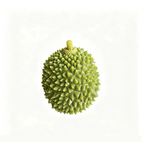 Jouet anti-stress souple en caoutchouc thermochromique en forme de durian pour enfants et adultes, vente en gros