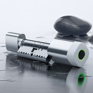 اسطوانة إلكترونية مقاومة للماء واي فاي بطاقة بلي بصمة اسطوانة رقمية مع تويا قفل اسطوانة ذكي قابل للتعديل - Product Image 1