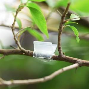 Clips de injerto de silicona Alister Profesional, Diseño de resorte de tubo superior de tolerancia de +/-0,05mm para Injerto de planta de tomate - Product Image 4