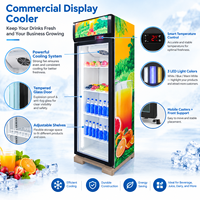 Réfrigérateur vertical à porte vitrée à température unique, écoénergétique, pour boissons, idéal pour les magasins de proximité et les restaurants
