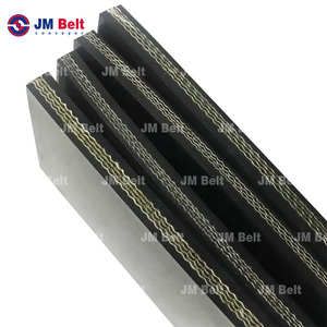 สายพานลำเลียงทนความร้อนเหมาะสำหรับอุตสาหกรรมที่มีอุณหภูมิสูง - Product Image 4