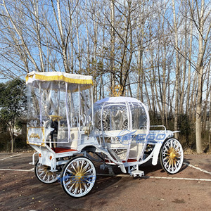 Carruaje de Calabaza para Boda, Estilo Cuento de Hadas, Carruaje de Cenicienta, Romántico Buggy Blanco de Princesa con Cortina para Lluvia - Product Image 5