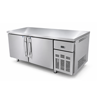 Réfrigérateur et congélateur commerciaux 380L/500L, modèles de réfrigérateurs et congélateurs commerciaux pour cuisine de restaurant
