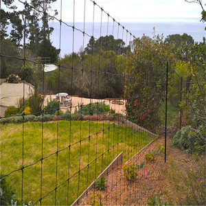 Rollo de 50m de Cerca Agrícola Tejida Galvanizada en Caliente de 1.524m (5 pies) con Nudos Fijos y <span class=keywords><strong>Curva</strong></span> de Tensión para Ciervos - Product Image 3