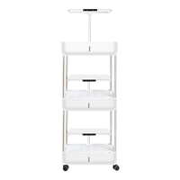 Système de culture aéroponique intelligent Starfarm HS-PM-T-2502 pour jardin vertical, armoire de culture de légumes, kit de système de culture