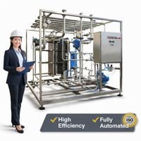 Machine de pasteurisation de jus d'orange Ace 2000Lph
