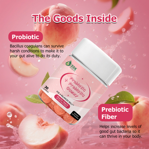 Gommes prébiotiques et probiotiques de haute qualité : soutien complet des glucides, renforce la santé immunitaire et digestive, améliore l'absorption des nutriments - Product Image 5