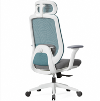 Support direct usine pour la personnalisation, la configuration et la couleur. Chaises de bureau ergonomiques, chaises de direction et chaises d'étude.