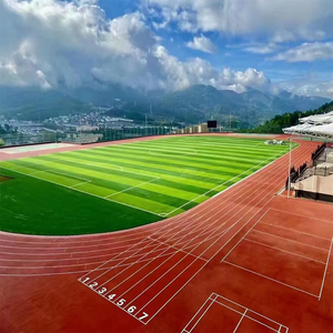 Tapis de terrain de stade de football d'intérieur en gazon artificiel et de terrain de football/jeux de football et de football - Product Image 6