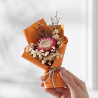 Buket bunga Babybreath kering, buket Mini bunga abadi kecil yang diawetkan pabrik
