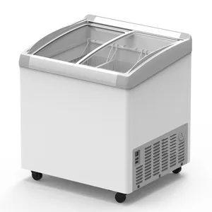 有名なブランドの高品質アイスクリーム冷凍庫アメリカ標準ディスプレイショーケース冷凍庫チェストフリーザー