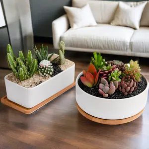 Modern Ceramic Flower Pots Succulent Planters Customizable Glazed Cactus Pots For Indoor Garden Decoration