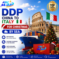 Servizio Logistico Professionale di Trasporto Marittimo DDP dalla Cina alla Francia per Natale