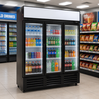 Vitrines réfrigérées commerciales pour boissons, à contrôle manuel de la température, économie d'énergie, portes simple/double/triple