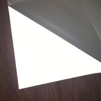 Vinilo Termotransferible Reflectante Elástico Plateado Brillante de Fábrica, Lavable, para Logotipos en Ropa Deportiva