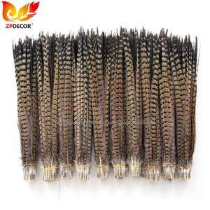 Fornitore Gold di ZPDECOR: <span class=keywords><strong>Piume</strong></span> di coda di fagiano anelloso naturali selezionate di alta qualità, 50-55 cm, disponibili all'ingrosso - Product Image 1