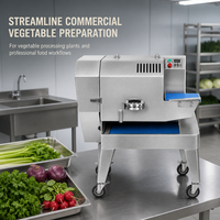 Industriële commerciële machine voor het fijn snijden van verse groene bladgroenten, zoals selderij, kool, peterselie, iceberg sla en spinazie.