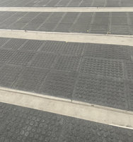 Carreaux de granit noir absolu naturel de qualité supérieure pour sol extérieur moderne