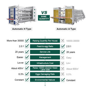 Cage de poulailler entièrement automatique Cage de batterie de type H pour animaux Système de cage de volaille pondeuse pour oeufs et poulets pour l'Algérie - Product Image 4
