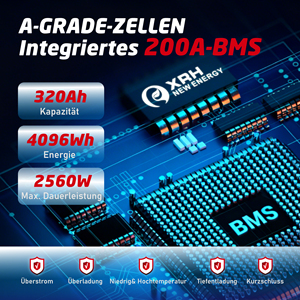 LiFePO4 Solid State Batterij 4000+ cycli 25,4 kg Langdurige energie Lichtgewicht & eenvoudige installatie - Product Image 5