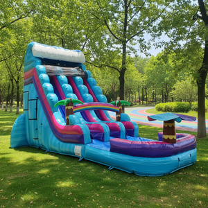 <span class=keywords><strong>Scivolo</strong></span> gonfiabile con piscina per adulti gioco estivo all'aperto per adulti - Product Image 1