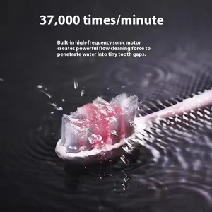 แปรงสีฟันไฟฟ้าสำหรับผู้ใหญ่ ระบบแม่เหล็กลอยตัว ชาร์จผ่าน USB กันน้ำระดับ IPX6 ขนแปรงนุ่มแบบโซนิค ขายส่ง - Product Image 3