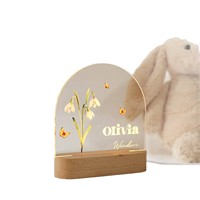 Veilleuse LED personnalisée en acrylique QGF avec technique de peinture – Cadeau de Noël multi-thèmes pour la décoration intérieure