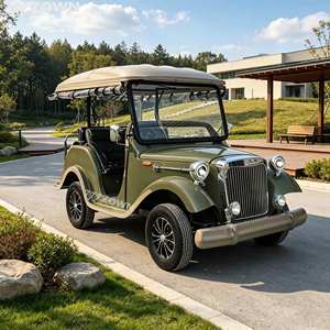 Voiture électrique rétro classique à motif personnalisé pour les projets commerciaux, les excursions et les loisirs. - Product Image 1