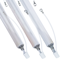 Fabricant Lampe UV à durcissement alpha 4kw personnalisée Gallium Metal Drop Lampe à polymérisation UV aux halogénures métalliques pour Gallus