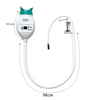 Appareil de blanchiment dentaire 10 LED 460nm à lumière froide, type à fixation sur table, pour clinique dentaire et usage domestique HAAROO
