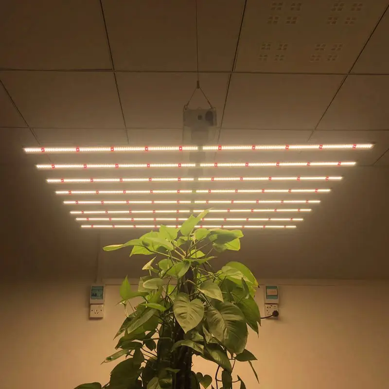 US Warehouse Hydroponic Plant Light Full Spectrum 640w LED Grow Lights For Indoor And Vertical Farming