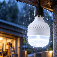 Lampe LED rechargeable portable haute performance à commande tactile pour camping et marché nocturne, 30W, ampoule E27 d'urgence, 6500K, étanche