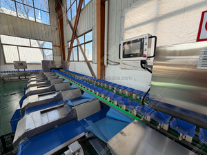 เครื่องสกัดเมล็ดทับทิมและเครื่องคัดแยก - Product Image 6